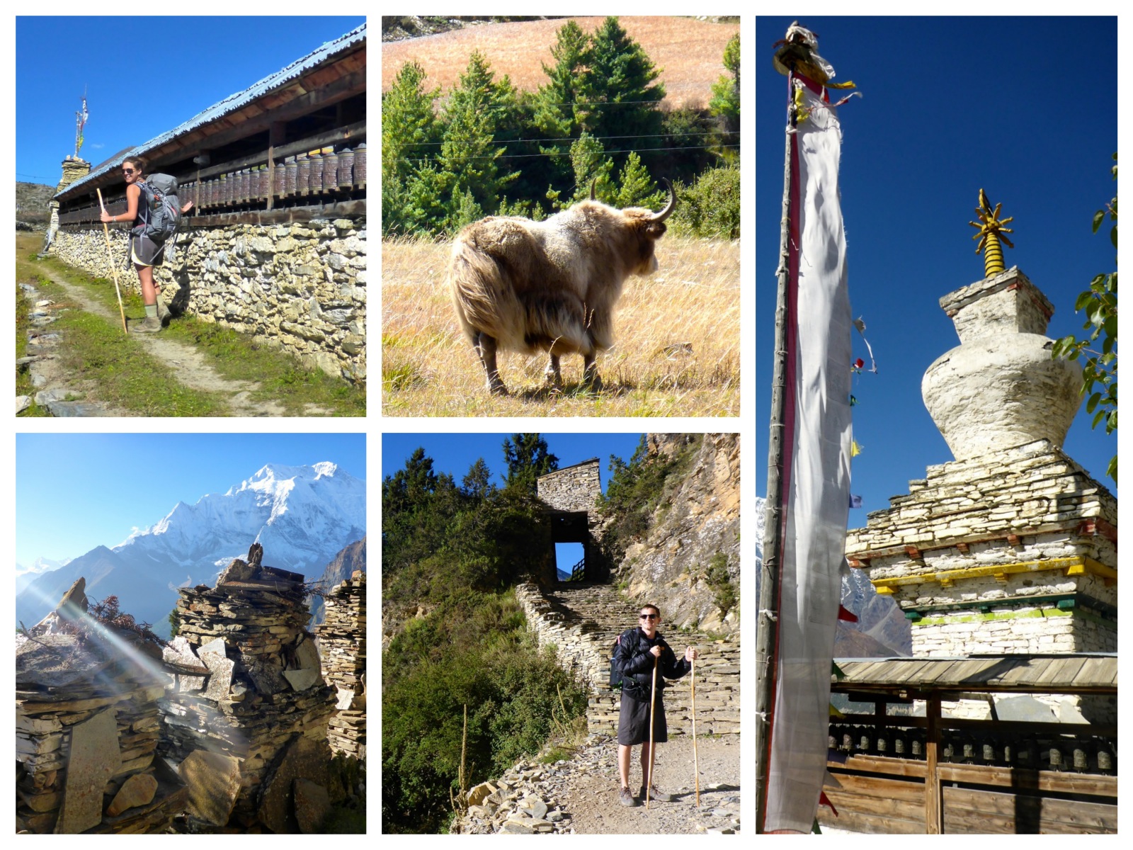 Ghyaru (3670m) – Ngawal – Manang (3540m) – October 4, 2014