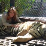 Tiger Kingdom - Chiang Mai, Thailand