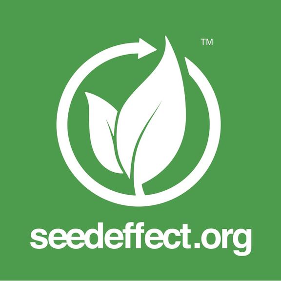 What is Seed Effect?